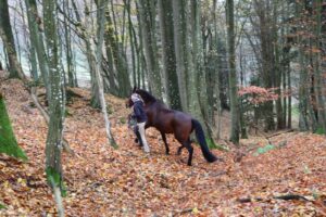 Eine Frau klettert mit einem braunen Pferd durch einen Laubwald im Herbst.