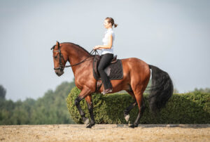 Eine Frau reitet auf einem spanischen Pferd eine Piaffe auf einem Reitplatz im Freien.