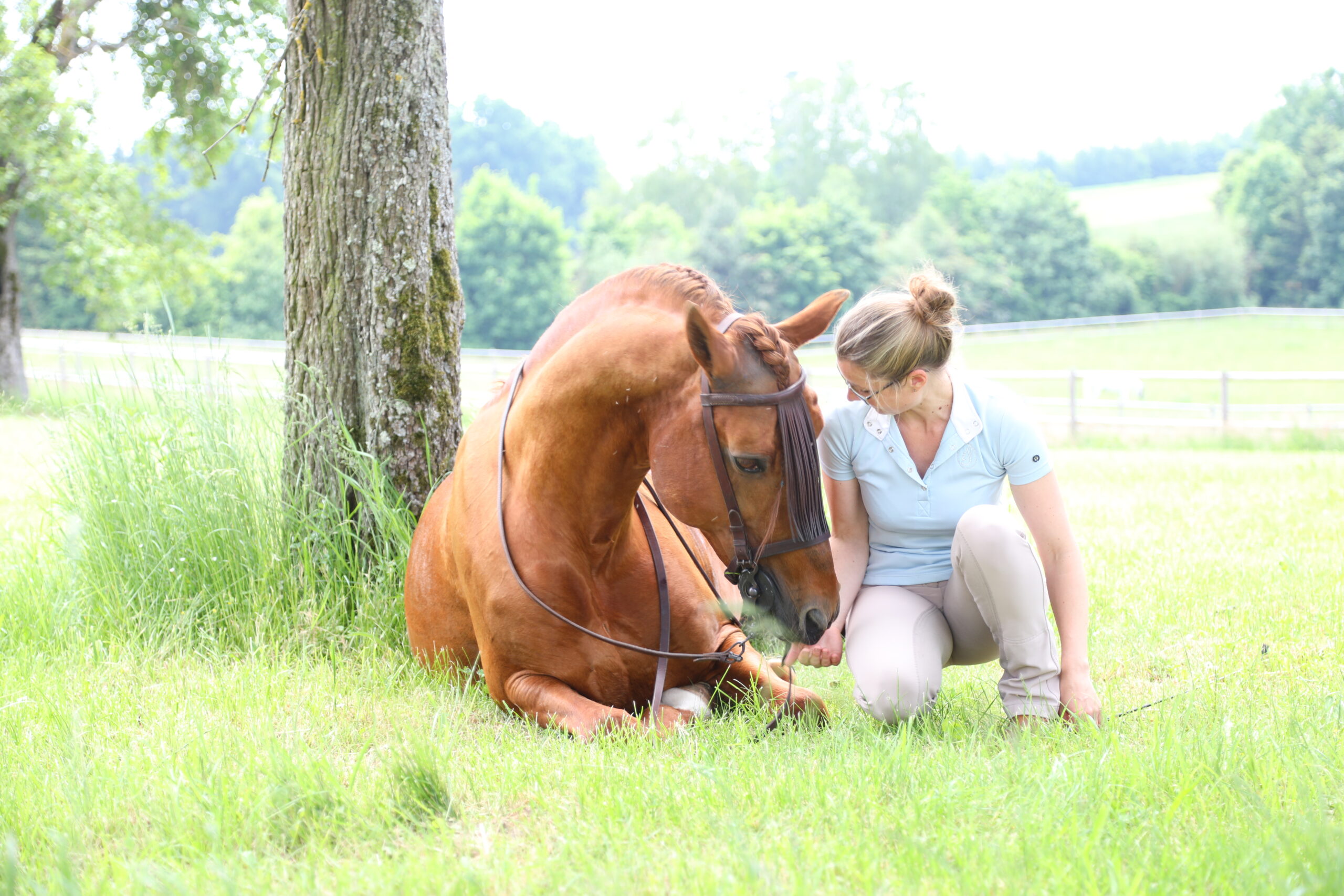 Eine Frau sitzt auf einer Wiese neben einem Pferd, das sich hingelegt hat.