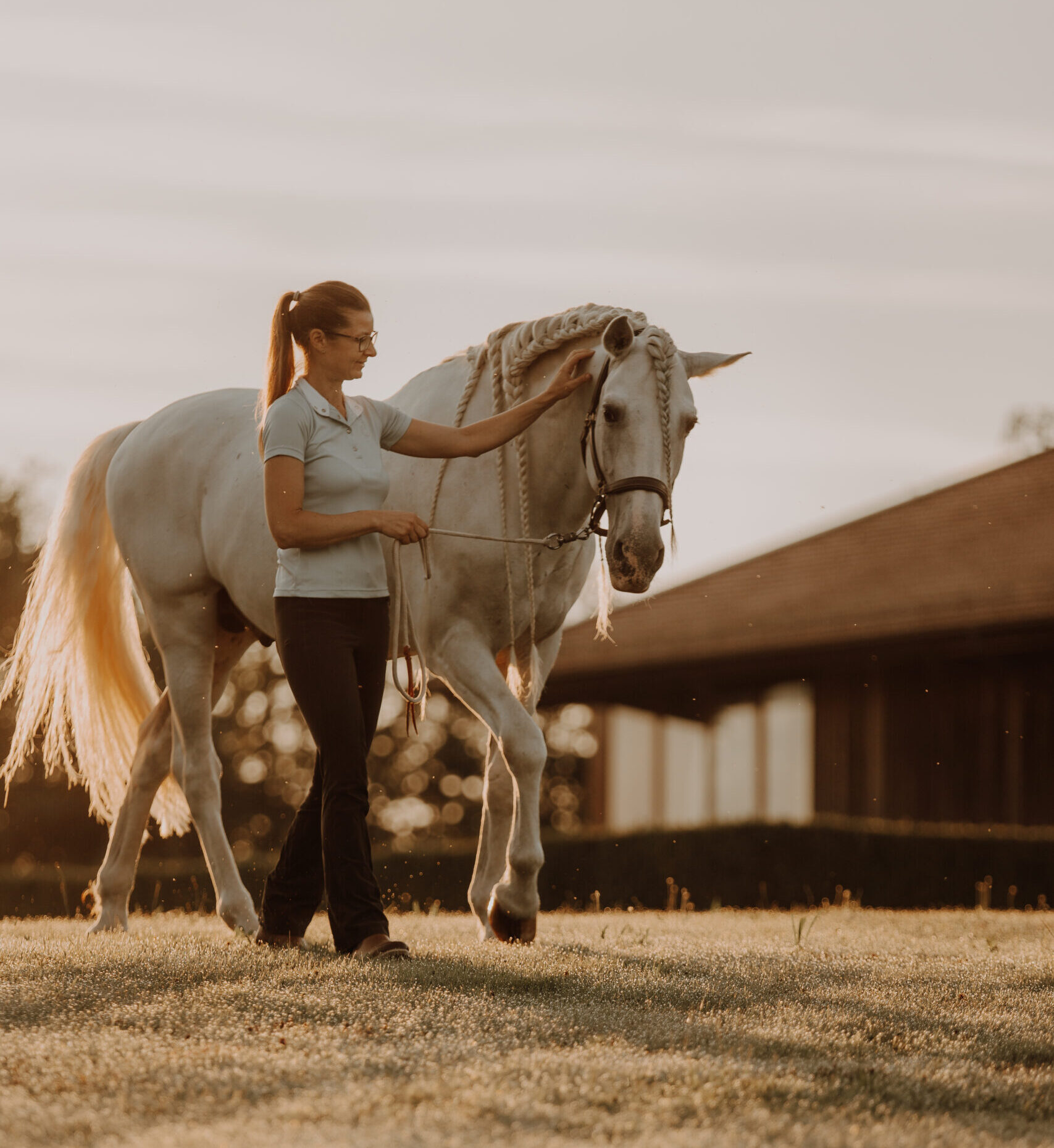Weiterführendes tensegrales Training